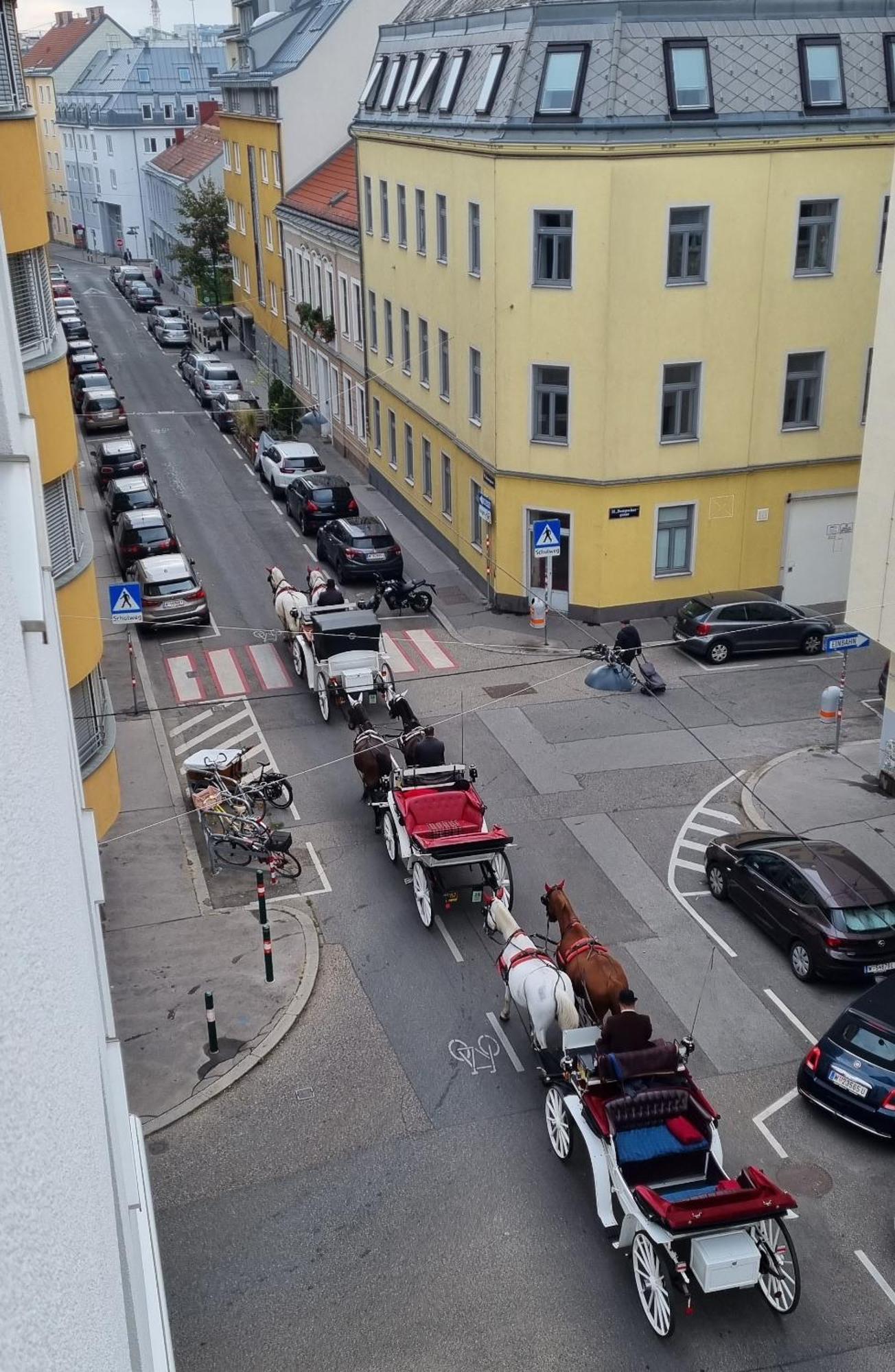 Vienna-Royal-Apartment מראה חיצוני תמונה
